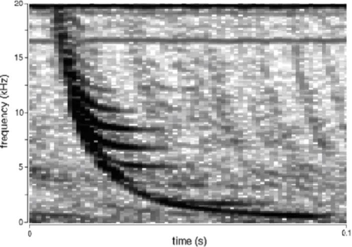 Fig. 1. Spiky whistler in DEMETER ICE burst mode VLF record- record-ing (orbit: 1242 up, sensor: E34, date: 25 September 2004, 21:30:33.2 UT, satellite position: 34.7 N; 5.0 E, altitude: 702.3, L: