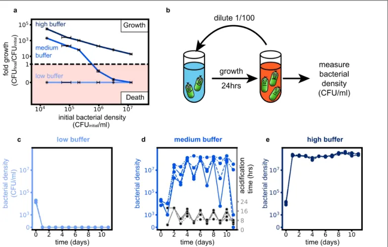 Fig. 2: Ecological suicide can cause oscillations in the population size over time.  (a)  At low buffer