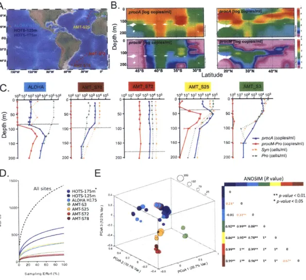 Figure 2-2.  Biogeographic  analysis  of prochlorosin  distribution and diversity in the ocean
