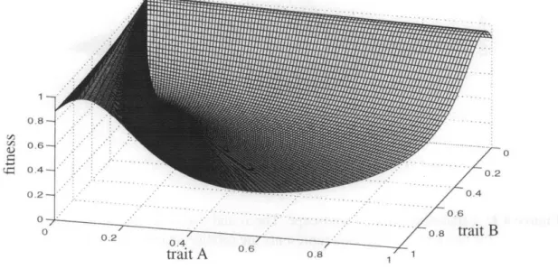 Figure 4.2:  An  adaptive  surface  under the cosine  metric.  Here  specificity  is selected  for.