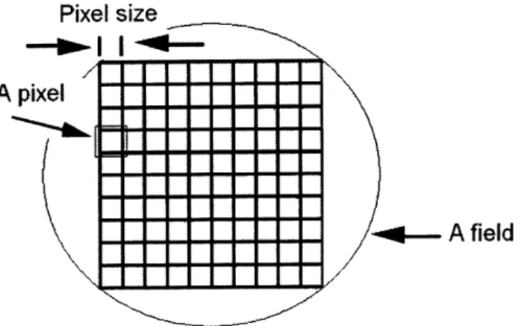 Fig. 4-1:  A  schematic  drawing  showing the  concept  of pixel  and  field.