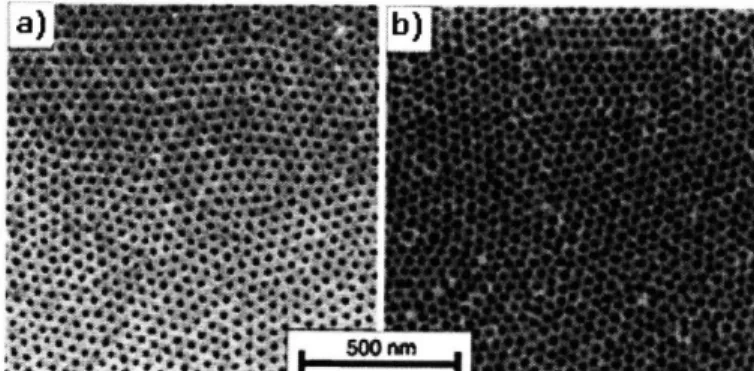 Fig.  4-4:  a)  SEM  micrograph  of a partially  etched,  ozonated  monolayer  film  of spherical microdomains
