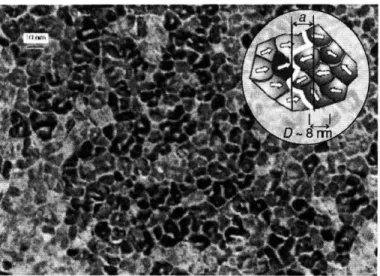 Fig.  2-4:  TEM  image  of modem  recording  CoCrPtB  media.  The  lightest  grey  areas  are the  amorphous  non-magnetic  Cr  rich  boundaries  which  separate  the  magnetic  Co  rich grains