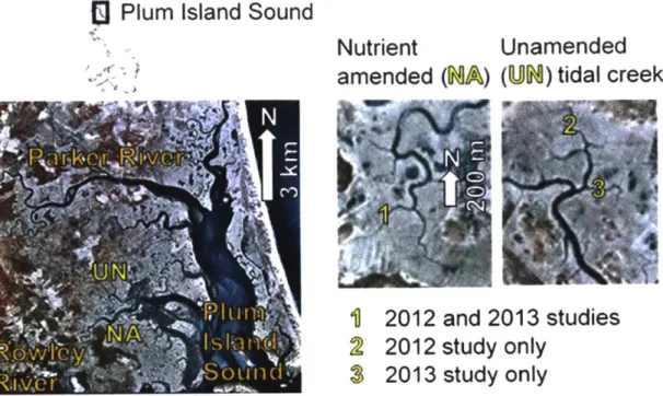 Figure 2:  Plum Island  Sound  estuary and  tidal  creek  study sites  (nutrient amended,  NA,  and  unamended control,  UN)
