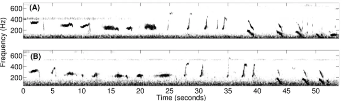 Figure 8. Spectrograms of a typical repeated humpback whale song theme observed during OAWRS 2006 experiment