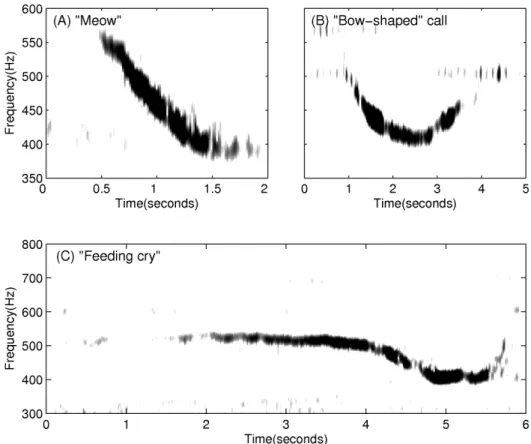 Figure 6. Spectrograms of a typical ‘‘meow’’, ‘‘bow-shaped’’ call and ‘‘feeding cry’’ observed during OAWRS 2006 experiment