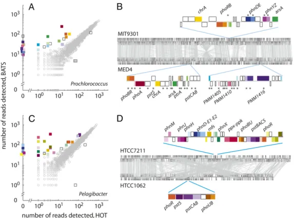 Fig. 2. Relative gene frequency among Prochlorococcus and Pelagibacter populations in the oligotrophic North Paci ﬁ c (HOT) and North Atlantic (BATS) subtropical ocean gyres