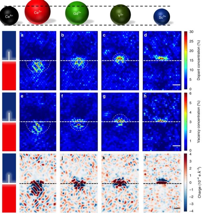 Figure 2 | Distribution of defects and net charge around the dislocation. Equilibrated distribution of (a–d) trivalent cations, (e–h) oxygen vacancies and (i–l) net charge in the (a,e,i) 8% CDC, (b,f,j) 8% GDC, (c,g,k) 8% YDC and (d,h,l) 8% SDC at 1,300 °C