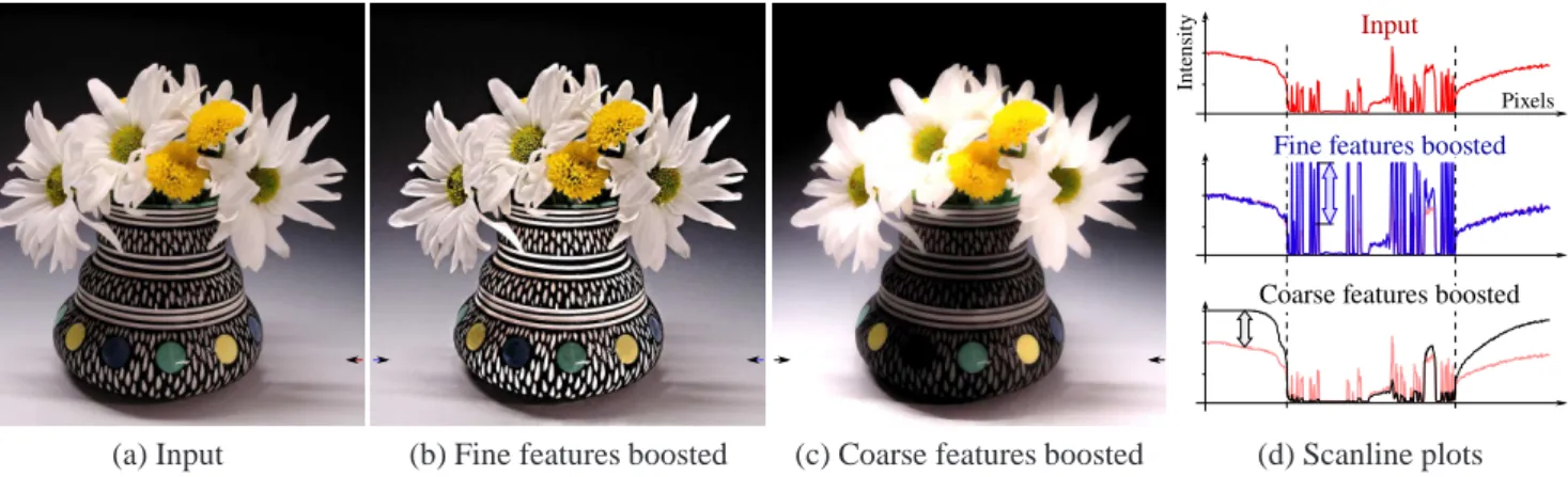 Figure 1: Our multiscale decomposition of image (a) allows detail to be extracted based on spatial scale rather than contrast and preserves edges