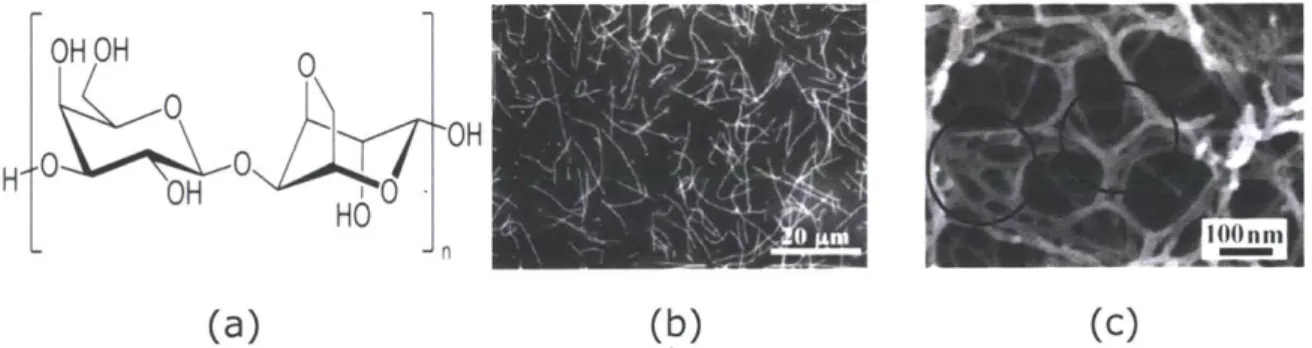 Figure  6:  a)  Molecular  structure  of agarose  polymer.  b)  0.08  wt.%  agarose  viscous liquid solution