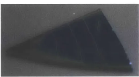 Figure  9:  Photograph  of  an  agar  film  on  a  silicon  wafer  substrate  scored  using  a razorblade.