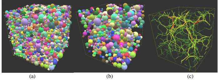Figure 3 Particle assembly details after 5 million timesteps (a) complete arrangement of particles  (b) the largest remaining cluster and (c) the force chain network within the cluster 