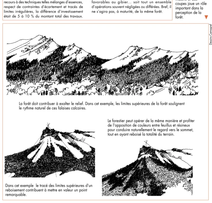 Figure 2. – L'accord des dimensions et des formes des massifs et des coupes joue un rôle important dans la perception de la