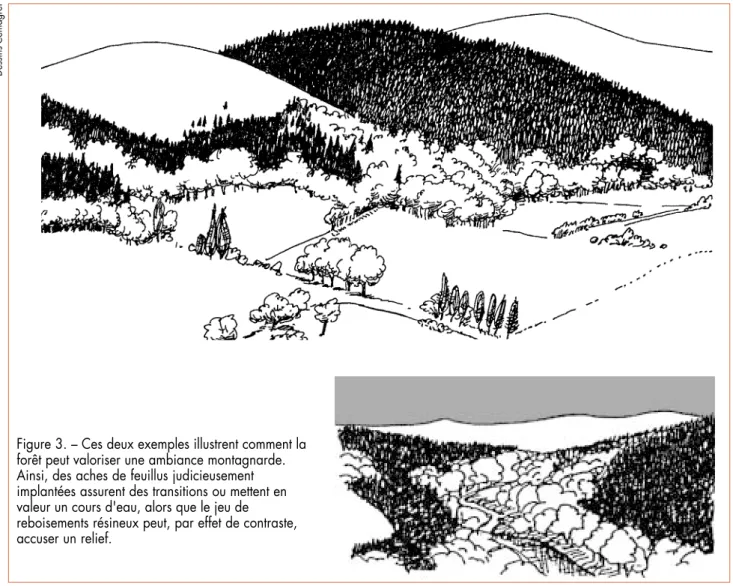 Figure 3. – Ces deux exemples illustrent comment la forêt peut valoriser une ambiance montagnarde.