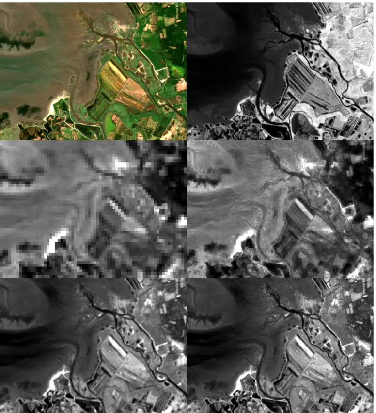 Figure 5. Top-Left: Composite image of the coastal area (delta of the Leyre river). Top-Right: Original infrared band 8 (842 nm, 10m/pixel)