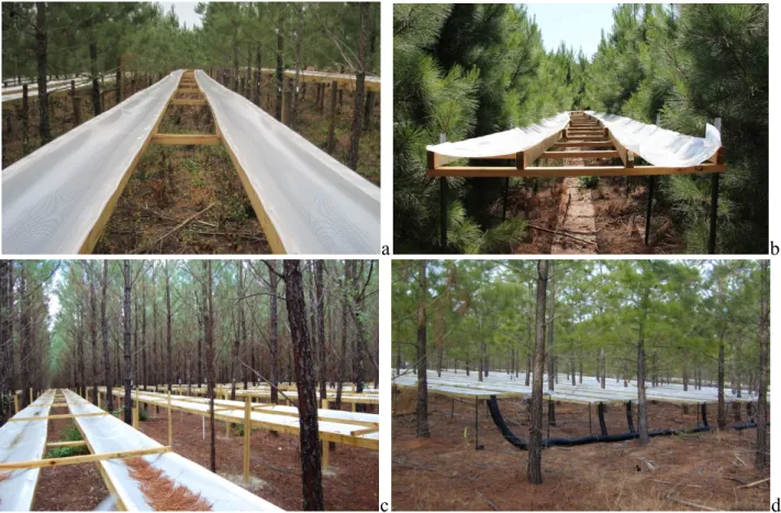 Figure 2. Recently installed (2012) throughfall excluders at the site in Taliaferro, Co., GA  (a), McCurtain Co, OK, (b), Taylor Co., FL (c), and Buckingham Co., VA (d)