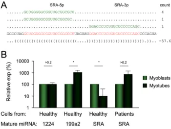 Figure 7. A novel miRNA is produced from SID #43 (SRA intron 1). (A) Out of the 16 clones that were sequenced, the six corresponding to SRA  in-tron 1 are positioned