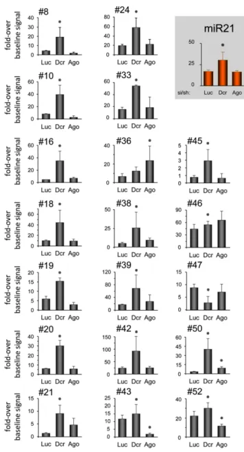 Figure 3. Role of Dicer and Ago2 in biogenesis of SID. Oligonucleotide arrays developed in Supplementary Figure S2, and spotted with the SID that shows a signal above baseline in K562 cells (Supplementary Table S1) were hybridized with radio-labeled small 