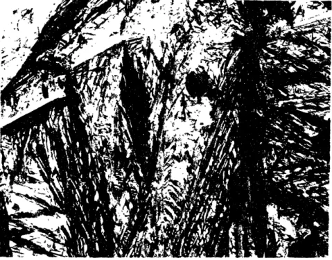 Figure 4.1 Photomicrograph of conventionally processed Fe-15Ni-0.9C, aged at room temperature for 5000 hours, showing the microhardness