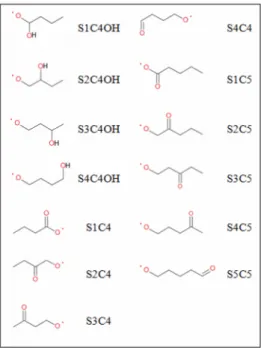 Figure  1.   Nomenclature   and   structure of alkoxy-aldehyde and alkoxy-alcohol radical species studied in this work.
