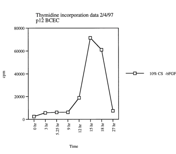 Figure  3:  Analyzing  DNA synthesis  of BCEC  by thymidine incorporation.