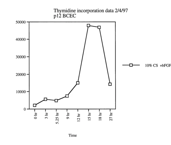 Figure 4:  Analyzing  DNA synthesis  of BCEC by thymidine incorporation.