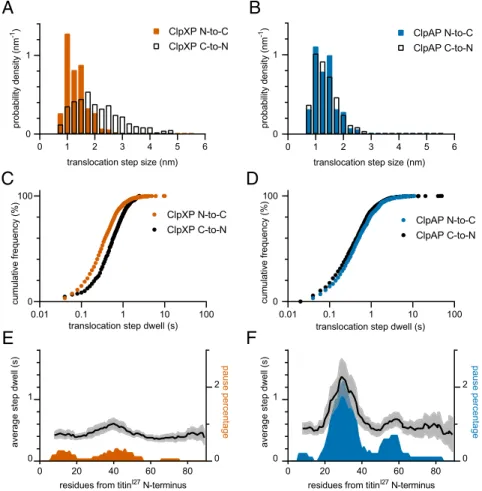 Fig. 4. Steps during polypeptide translocation. ( A and B ) Distributions of physical step sizes during directional translocation by ClpXP (orange bars, A ) and ClpAP (blue bars, B )