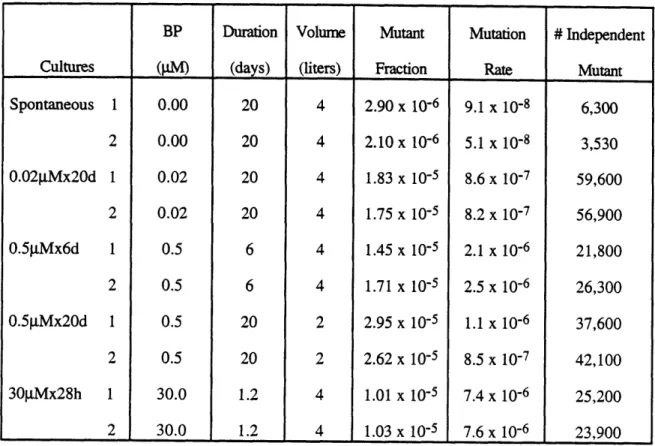 Table  5.1. Summary  of the  Large-Scale  Cell  Culture  Experiment