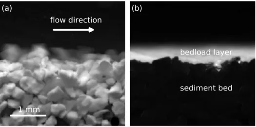 FIG. 4. (a) Side-view of bedload transport in the experimental flume of Figure 1. The sediment bed, made of plastic grains (size d s ≈ 720 ± 120µm, density ρ s = 1520 ± 50kg.m −3 ) is sheared by a viscous flow of glycerol (viscosity η = 10 −2 Pa s, density