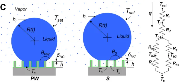 Figure 2. Time evolution of the average droplet diameter (〈2R〉).  (A) For the PW droplet, at early stages  (〈2R〉 &lt; 12 μm) the rapid growth is due to good thermal contact between the droplet base and the substrate (T s )