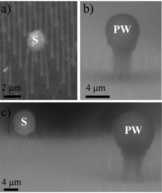 Figure S1. High magnification ESEM images of the S and PW droplet wetting morphologies performed at a  beam potential of 20 kV and probe current of 1.2 nA