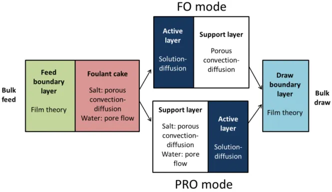 Figure 2. Graphical representation of layered transport model. FO and PRO mode models differ in the 
