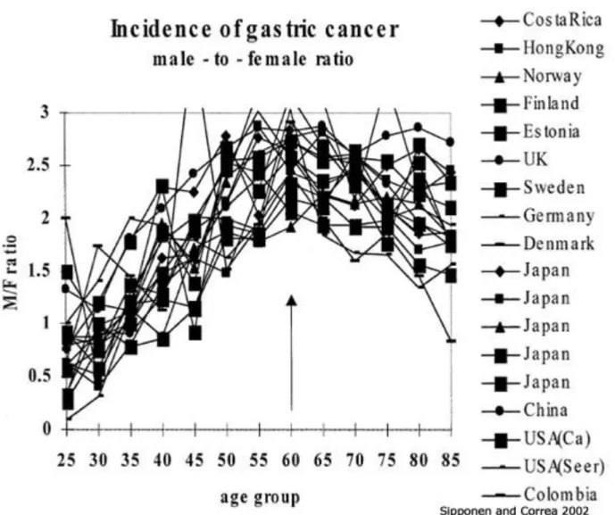 Figure 1.2.  Age-standardized incidence rates of gastric cancer demonstrate a sexual dimorphism with men twice as  likely  as  women  of  developing  gastric  adenocarcinomas