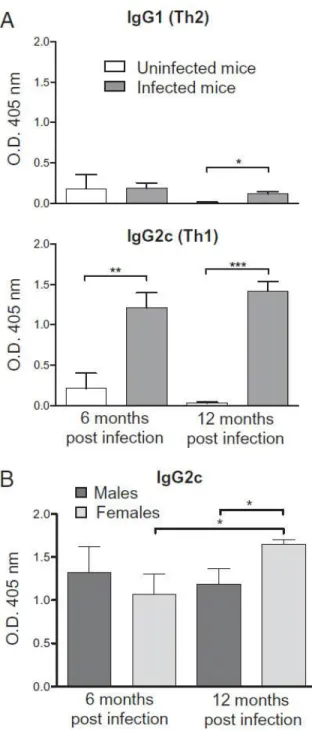 Fig. 2.2. The effect of H. pylori infection on H. pylori–specific IgG1 and IgG2c.Serum levels of IgG were  measured by ELISA in uninfected and H
