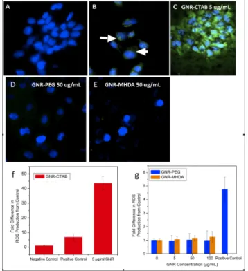 Figure  3.  Oxidative  stress  production  after  exposure  to  GNR-CTAB.  a)  Negative  control;  b)  Positive  control  (0.03%  H 2 O 2 );  c)  5  µg/ml  GNR-CTAB,  d)  50  µg/ml  GNR-PEG,  e)  50  µg/ml  GNR-MHDA