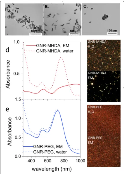 Figure  1.  TEM  characterization  of  GNR  morphology  and  size  distribution.  a)  GNR-CTAB;  b)  GNR- GNR-MHDA;  c)