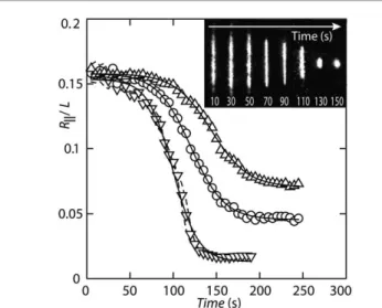 Fig. 5 Condensation of T4-DNA following exposure to 1.0 ( O ), 1.2 ( B ), and 1.6 ( P ) m M H-NS in T-bu ﬀ er with 3 mM NaCl