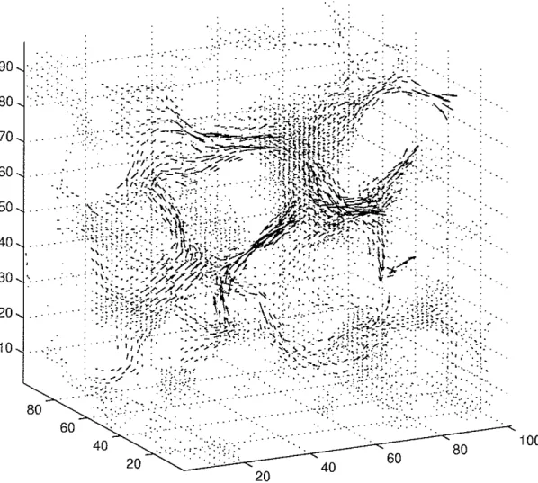 Figure 6: 3D velocity field for simulation with 22.5 /lm resolution image. The vector length represents the magnitude of the velocity at that point in the rock