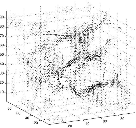 Figure 7: 3D velocity field for simulation with 30 f.'m resolution image. The vector length represents the magnitude of the velocity at that point in the rock