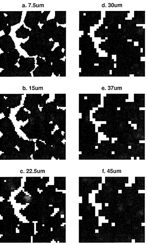 Figure 1: Cross section through sandstone showing pore space as the resolution is changed from 7.5 to 45 fJ.m