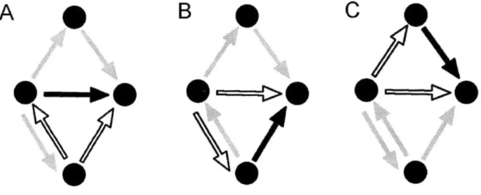 Figure  3-1  represents  the  hypothesis  as  the triadic  structure  of  interest  in  isolation;