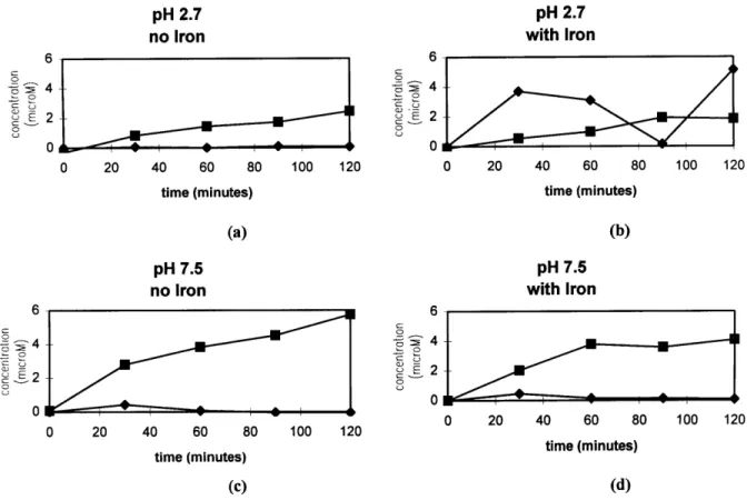 Figure 3.2.1.  Graphs  of hydrogen  peroxide  and  ferrous  iron  concentrations  versus  time in  humic  acid  solutions