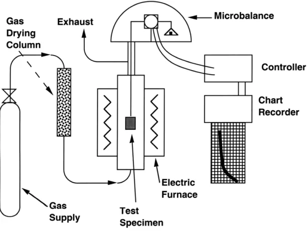 Figure  3.1  Schematic  representation  of furnace,  Cahn  microbalance  and gas mixing system.
