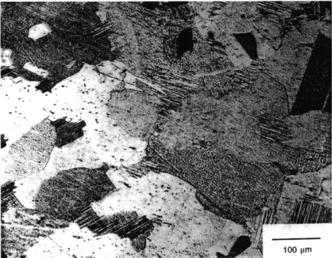 Figure 4.2  Light optical micrograph  detailing  the  microstructure  of G  at 165X after etching  in Kroll's reagent