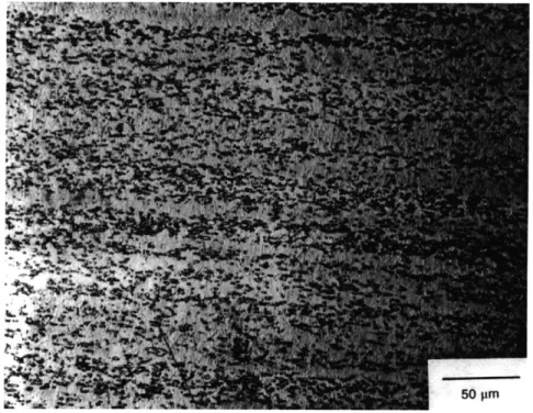 Figure 4.4 Light optical  micrograph  detailing the microstructure  of SA2  at 330X  after etching  in  Kroll's reagent