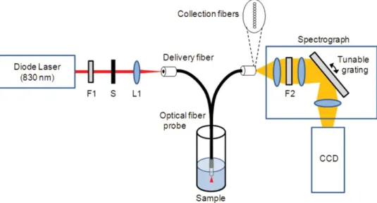 Fig. 3 A schematic diagram of the experimental setup. Raman spectra were obtained from tissue phantom solutions using an optical fiber probe, which included a laser light delivery fiber and ten collection fibers