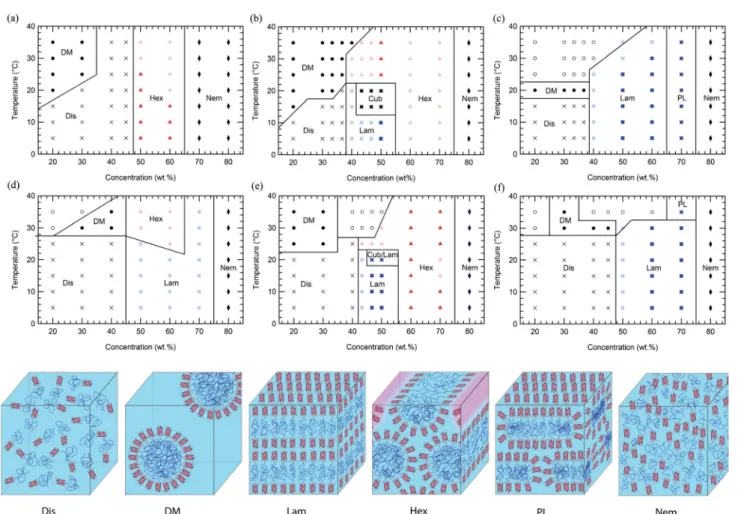 Fig. 1 Phase diagrams of mCherry- b -PHPA in aqueous solution are shown at the top row at polymer fraction (a) 0.42, (b) 0.53, and (c) 0.70, and mCherry- b -POEGA at the bottom row at polymer fraction (d) 0.46, (e) 0.54, and (f) 0.72 as a function of conce