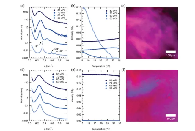 Fig. 3 Top row: SAXS curves (a), DPLS curves (b), and a polarized optical microscopy image (c) of mCherry- b -PHPA 18 kDa (mChPH18) sample.