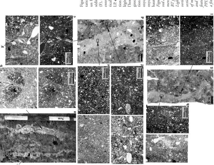 Figure 6 : illustration des caractéristiques du remplissage de quelques digi- tations observées à Bouxières-sous-Froidemont