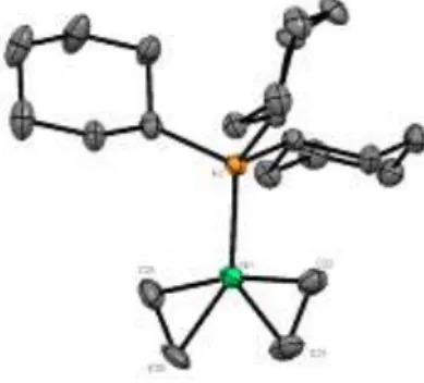 Figure  2  ORTEP  drawings  of  3,  hydrogen  atoms  were  omitted  for  clarity.  Bond  distances  [Å]  and  angles  [°]  :  Ni-P  2.1873(10),  Ni-C22  2.000(4),  Ni-C21  1.987(4),  Ni-C23  1.985(4),  Ni-C24  1.988(4),   C22-C21  1.392(6),  C23-C24  1.389